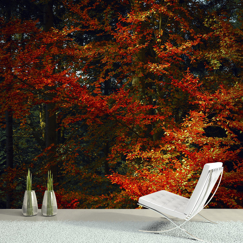 Forest Mural Wall Covering Decorative Mildew Resistant for Home Room