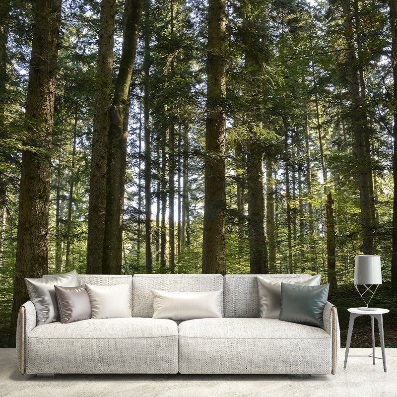 Forest Mural Wall Covering Decorative Mildew Resistant for Home Room