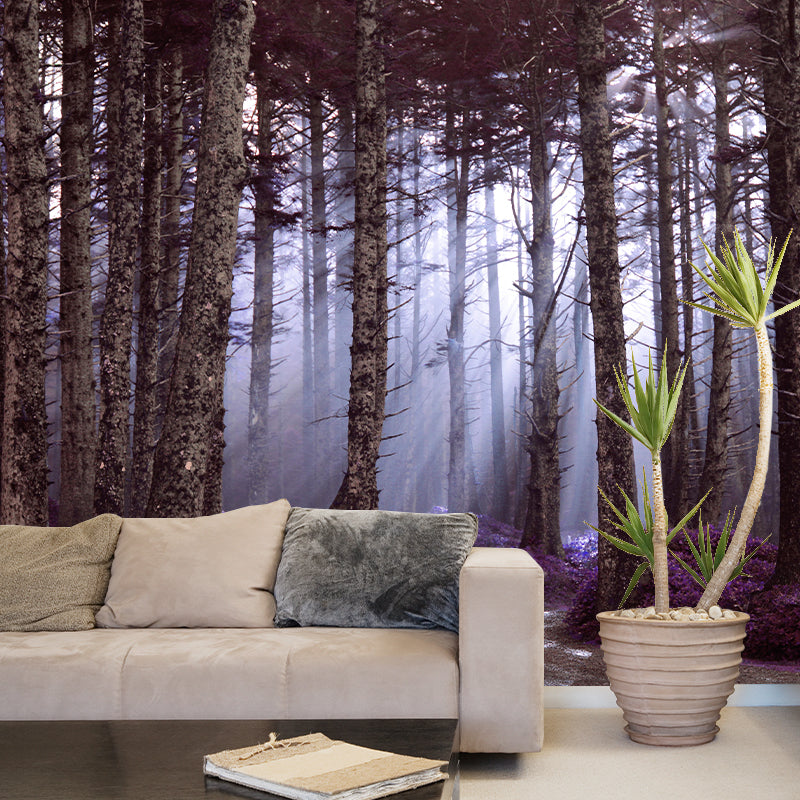 Photography Forest Mural Wallpaper for Room Wall Covering in Soft Color