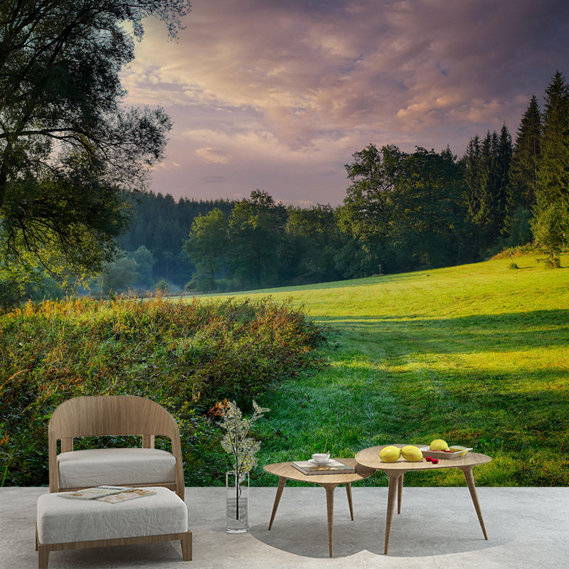 Forest Mural Decal Moisture Resistant Contemporary Bedroom Wall Covering