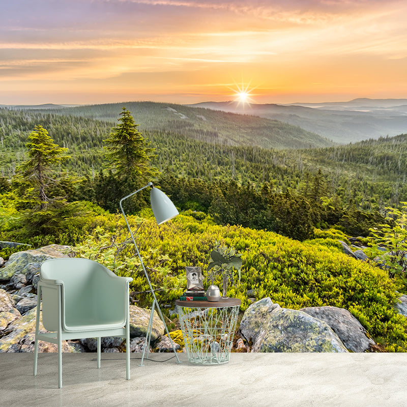 Forest Mural Decal Moisture Resistant Contemporary Bedroom Wall Covering