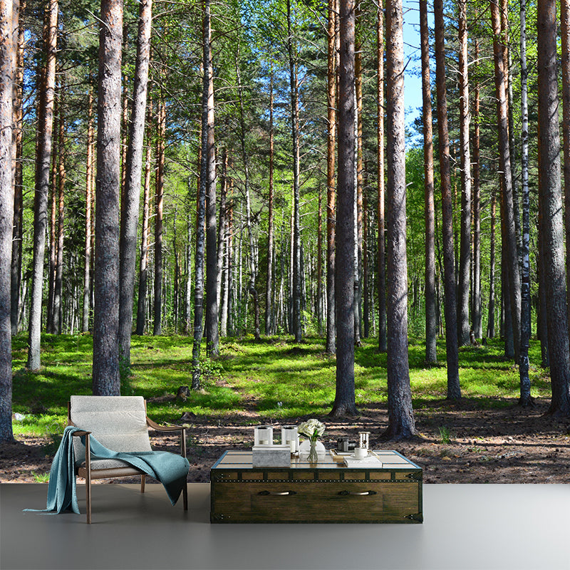 Contemporary Forest Wall Mural Environment Friendly Wallpaper for Sitting Room