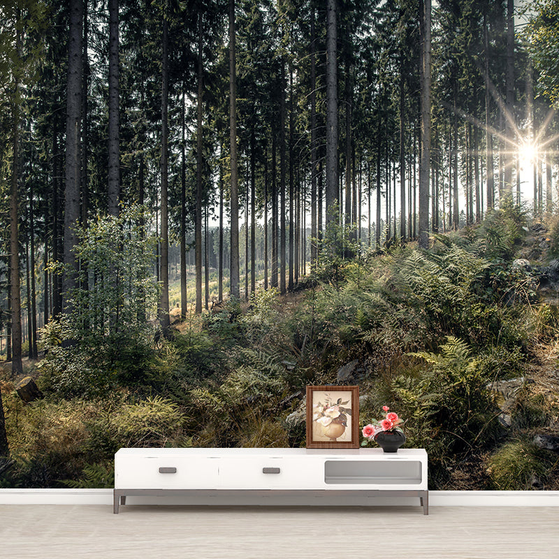 Contemporary Forest Wall Mural Environment Friendly Wallpaper for Sitting Room