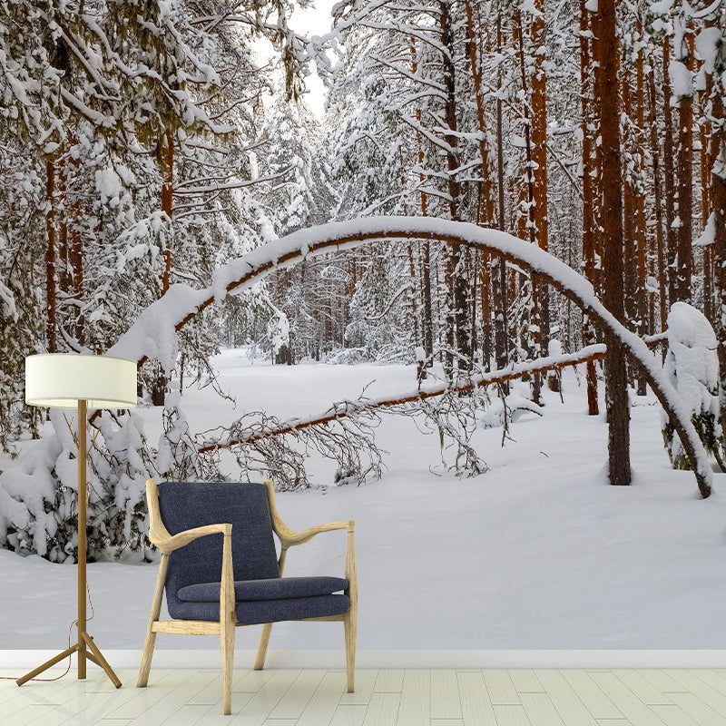 Photography Forest Mural Wallpaper for Living Room Wall Covering in Soft Color