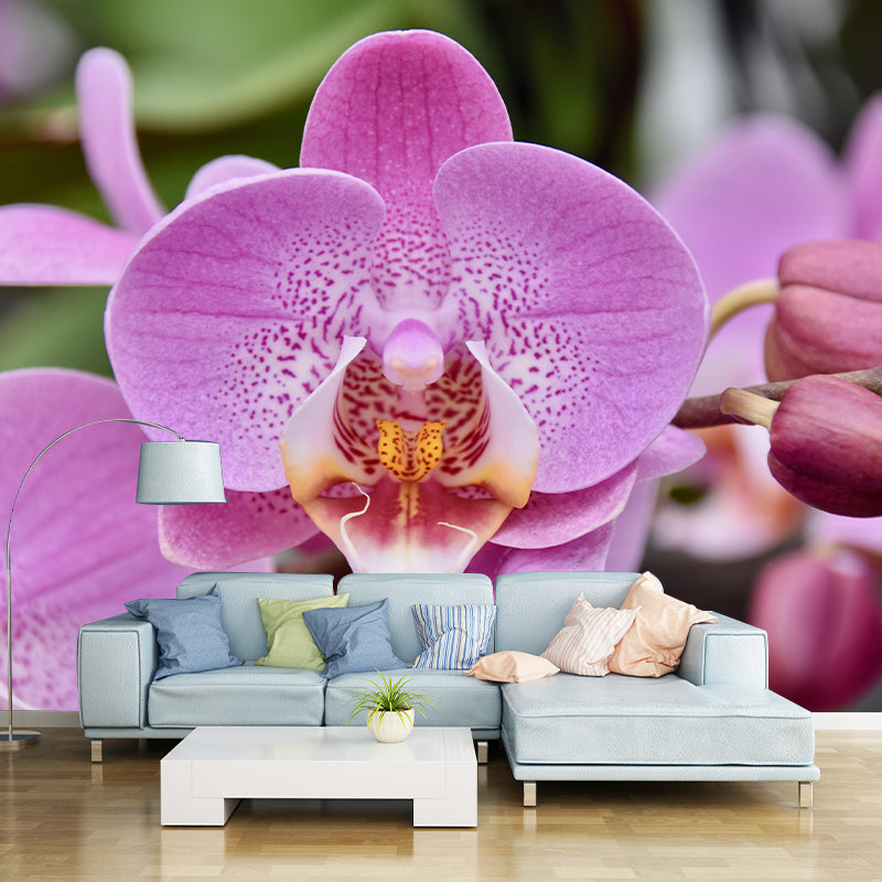 Customized Orchid Mural Wall Covering Decorative Mildew Resistant for Living Room