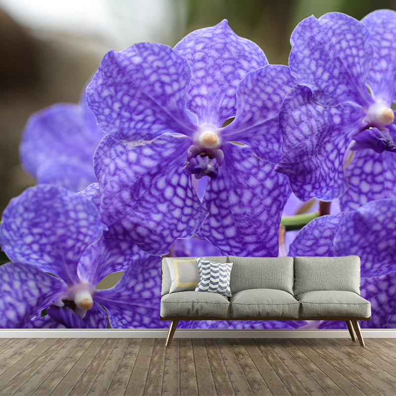 Customized Orchid Mural Wall Covering Decorative Mildew Resistant for Living Room