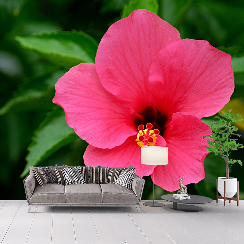Customized Hibiscus Mural Wall Covering Decorative Mildew Resistant for Living Room