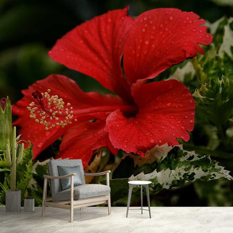 Customized Hibiscus Mural Wall Covering Decorative Mildew Resistant for Living Room