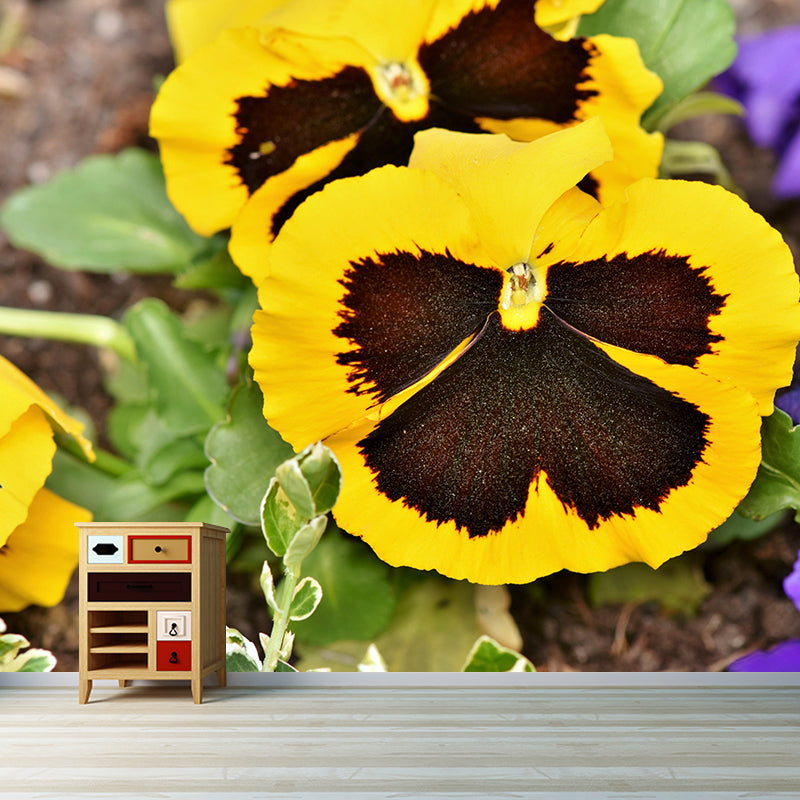 Customized Pansy Mural Wall Covering Decorative Mildew Resistant for Living Room