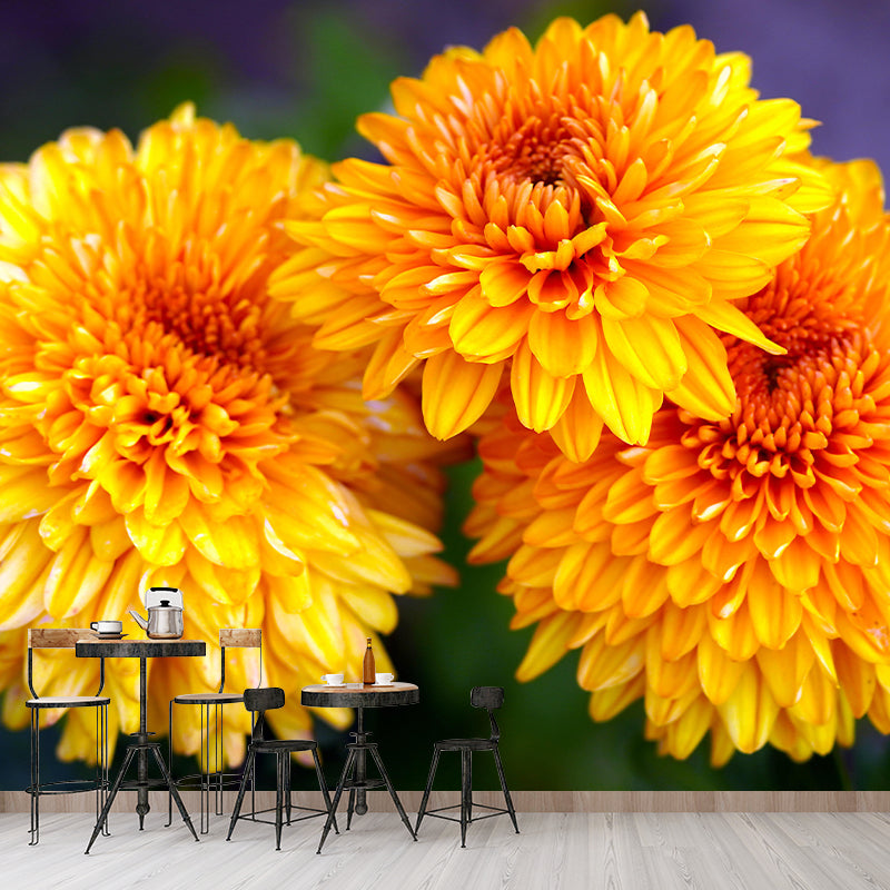 Customized Dahlias Mural Wall Covering Decorative Mildew Resistant for Living Room