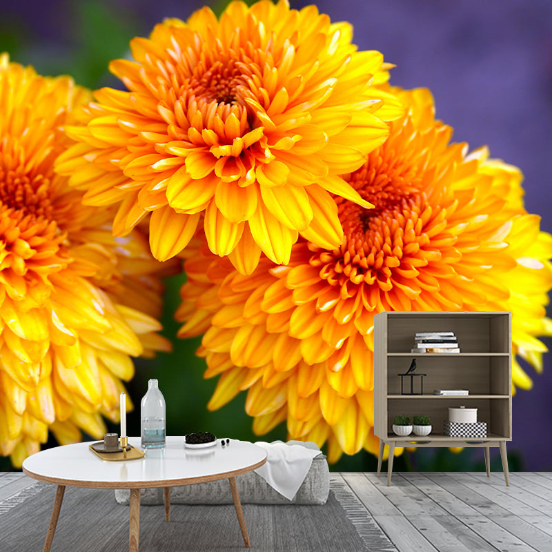 Customized Dahlias Mural Wall Covering Decorative Mildew Resistant for Living Room