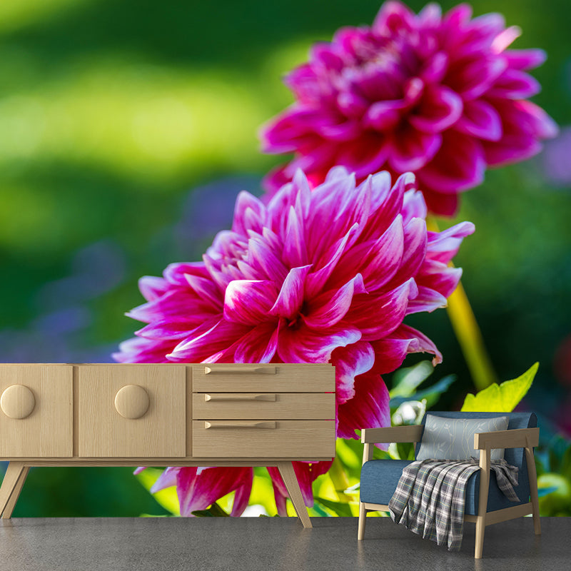 Customized Dahlias Mural Wall Covering Decorative Mildew Resistant for Living Room