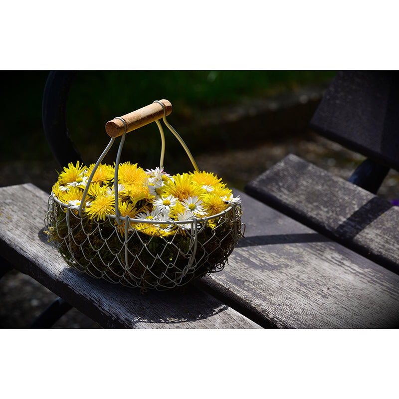 Customized Flower Basket Mural Wall Covering Decorative Mildew Resistant for Living Room