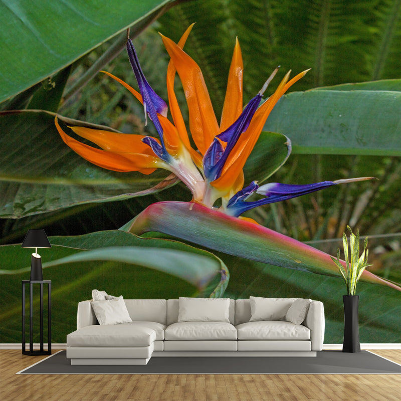 Bird of Paradise Flower Mural Wall Covering Decorative Mildew Resistant for Living Room