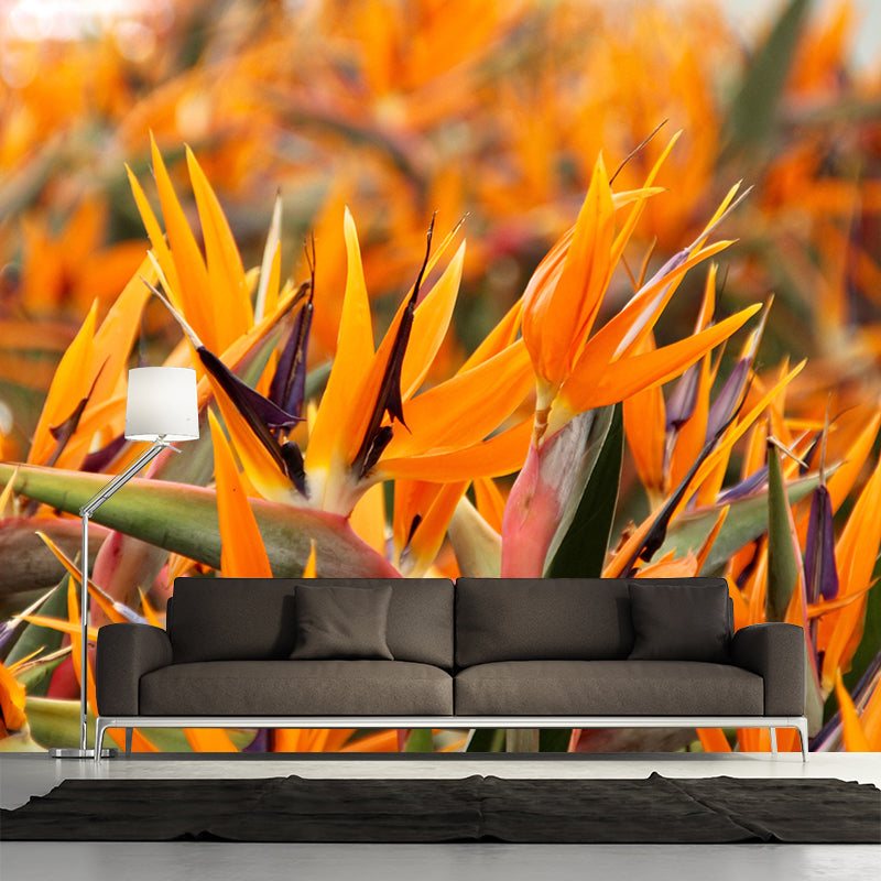 Bird of Paradise Flower Mural Wall Covering Decorative Mildew Resistant for Living Room