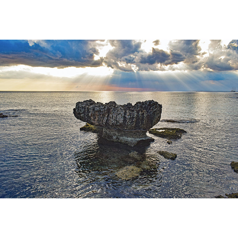 Photography Sea Mural Wallpaper for Bedroom Wall Covering in Soft Color