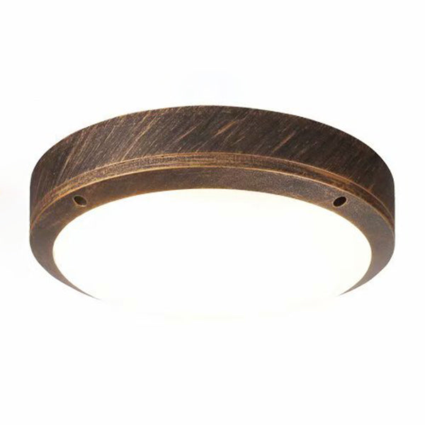Modern Simple Indoor Outdoor LED Ceiling Light Waterproof Flush Mount Light