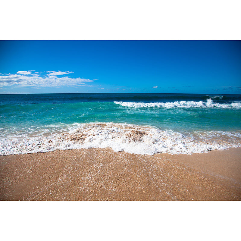 Beach Landscape Murals for Sleeping Room Home Decor, Moisture Resistant