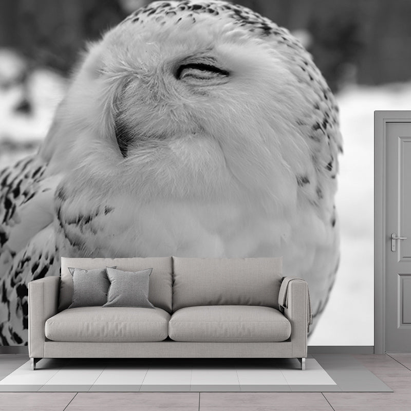 Rare Animal Owl Mural Moisture-Resistant Wall Decoration for Living Room Bedroom