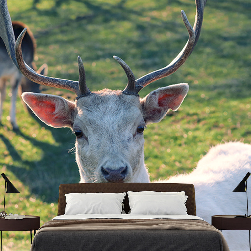 Modern Deer Animal Wall Mural for Living Room Bedroom, Removable, Customized Size