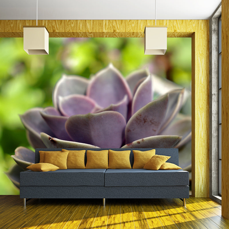 Succulent Plant Mural Wallpaper Personalized Size Wall Covering for Study Room