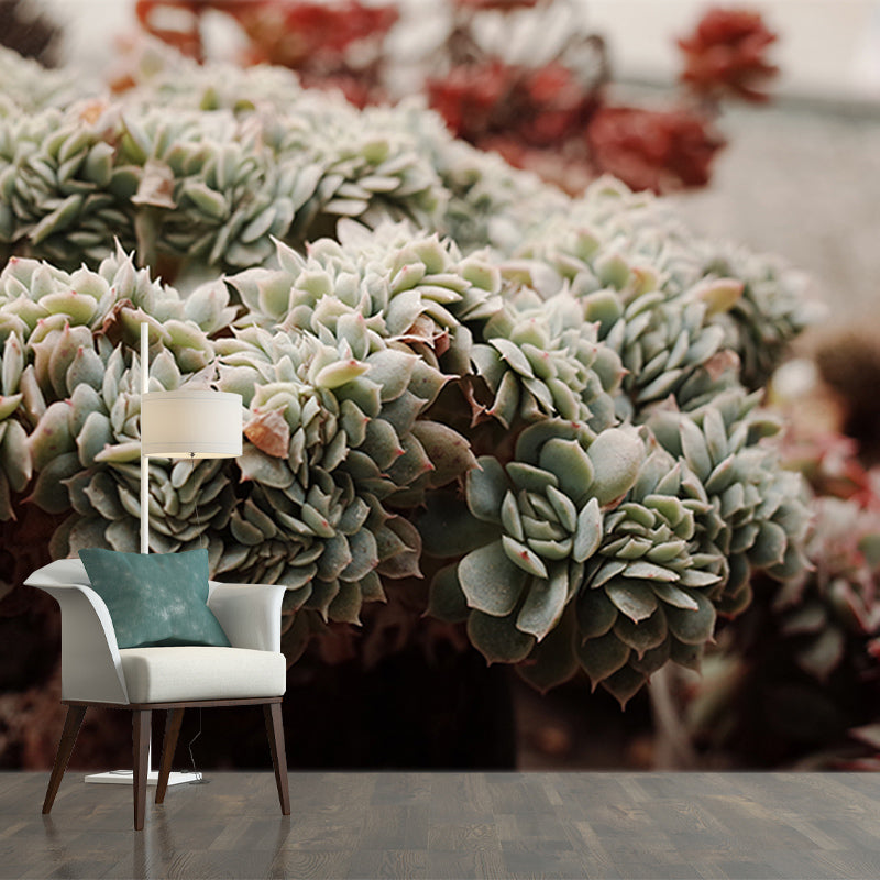 Modern Style Succulent Plant Mural Stain-Resistant Wall Decor for Guest Room