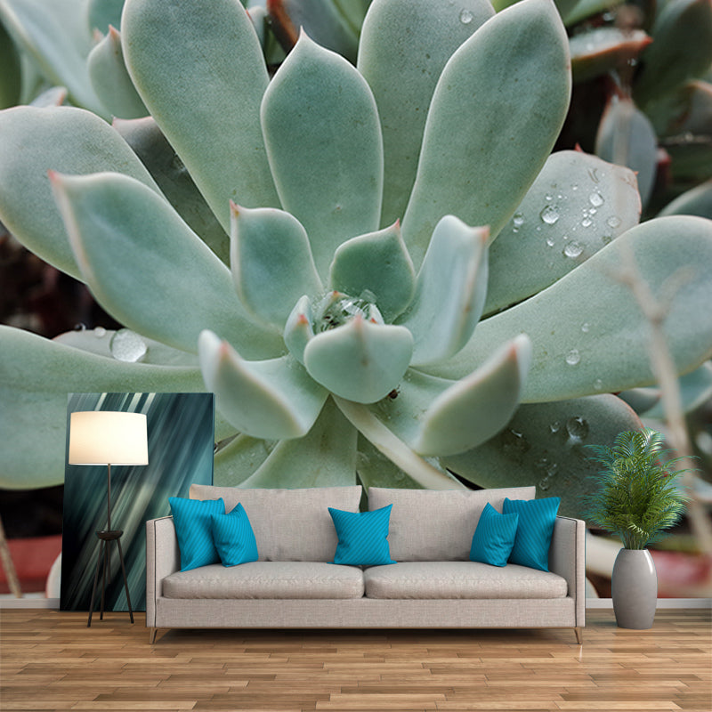 Modern Style Succulent Plant Mural Stain-Resistant Wall Decor for Guest Room