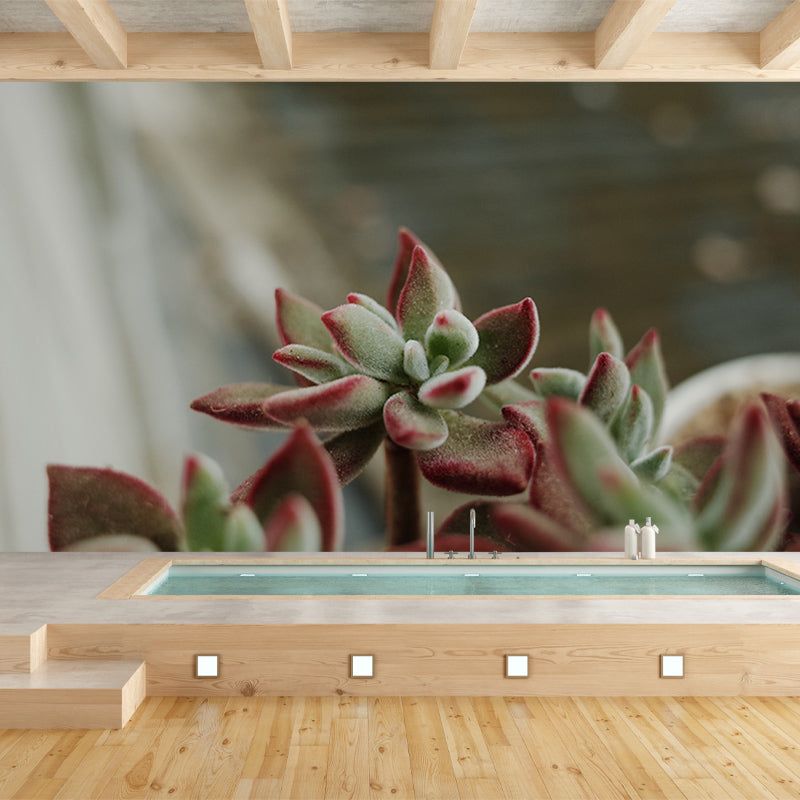 Modern Style Succulent Plant Mural Stain-Resistant Wall Decor for Guest Room