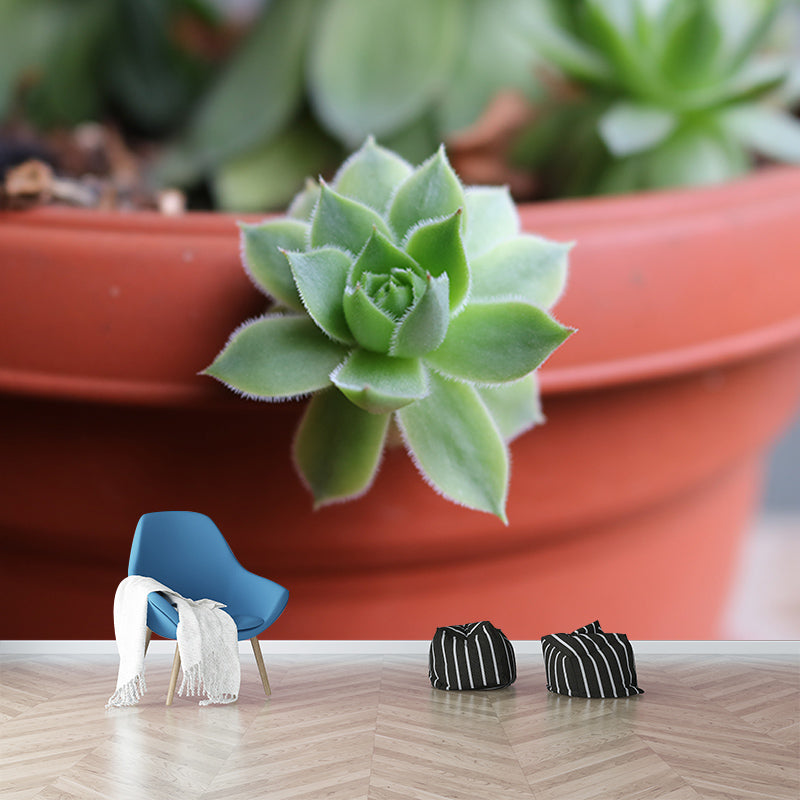 Rosette Plant Removable Wall Art Decor for Office Apartment, Moisture Resistant