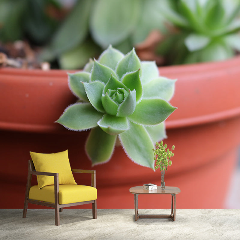 Rosette Plant Removable Wall Art Decor for Office Apartment, Moisture Resistant