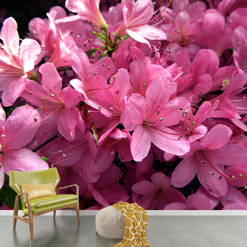 Rhododendron Wall Mural for Guest Room Bedroom, Personalized Size Available
