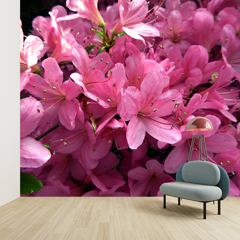 Rhododendron Wall Mural for Guest Room Bedroom, Personalized Size Available