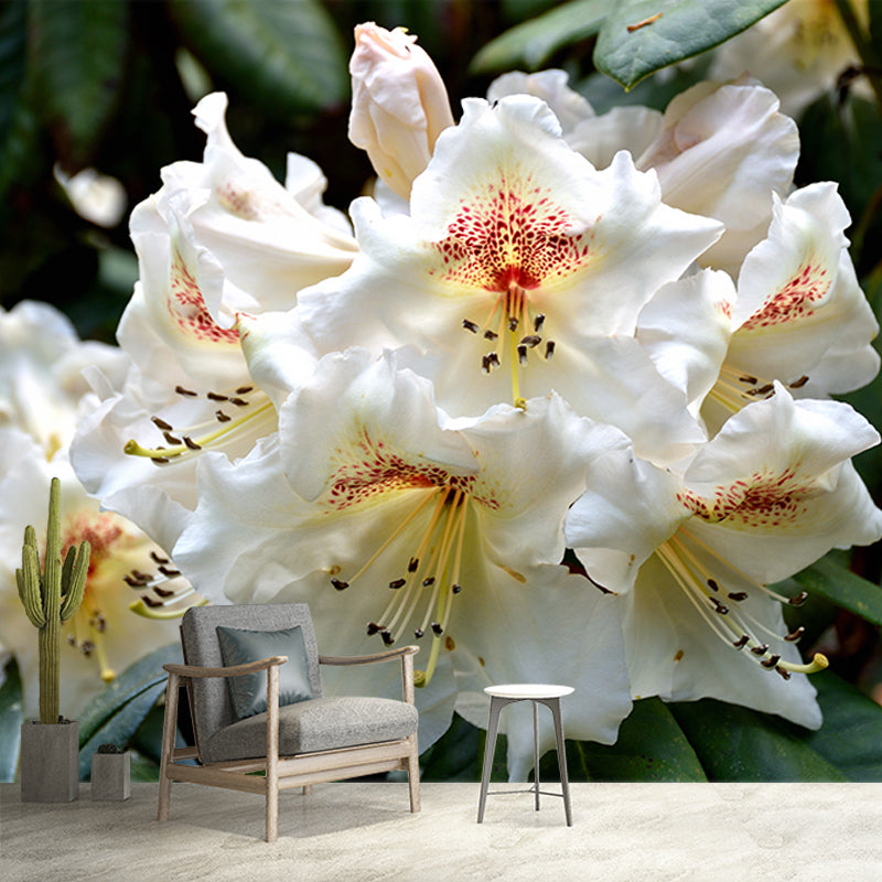 Bright Rhododendron Mural Stain Resistant Wall Art for Living Room Sitting Room