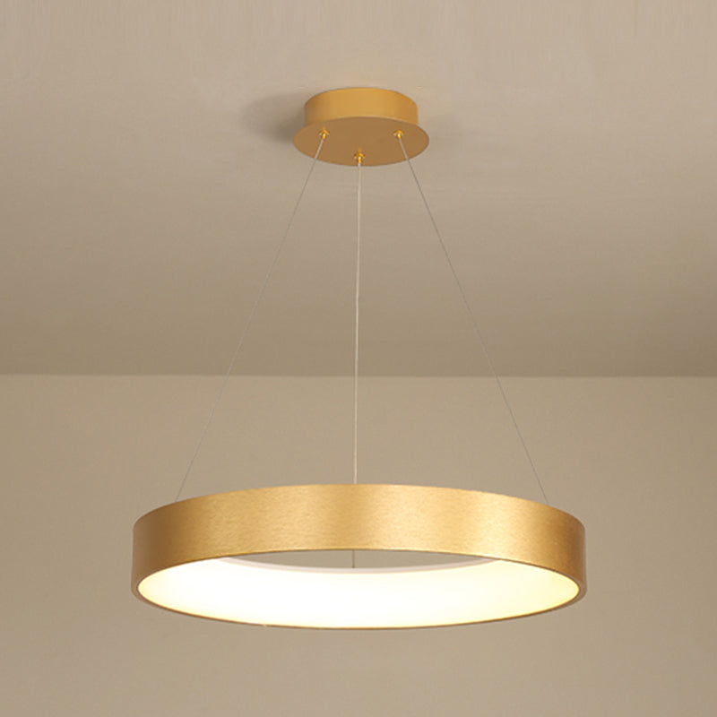 Modern Simple Style LED Pendant Light Living Room Hanging Light Fixture