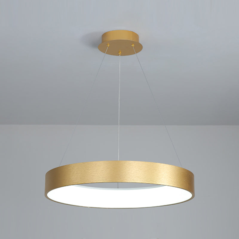Modern Simple Style LED Pendant Light Living Room Hanging Light Fixture