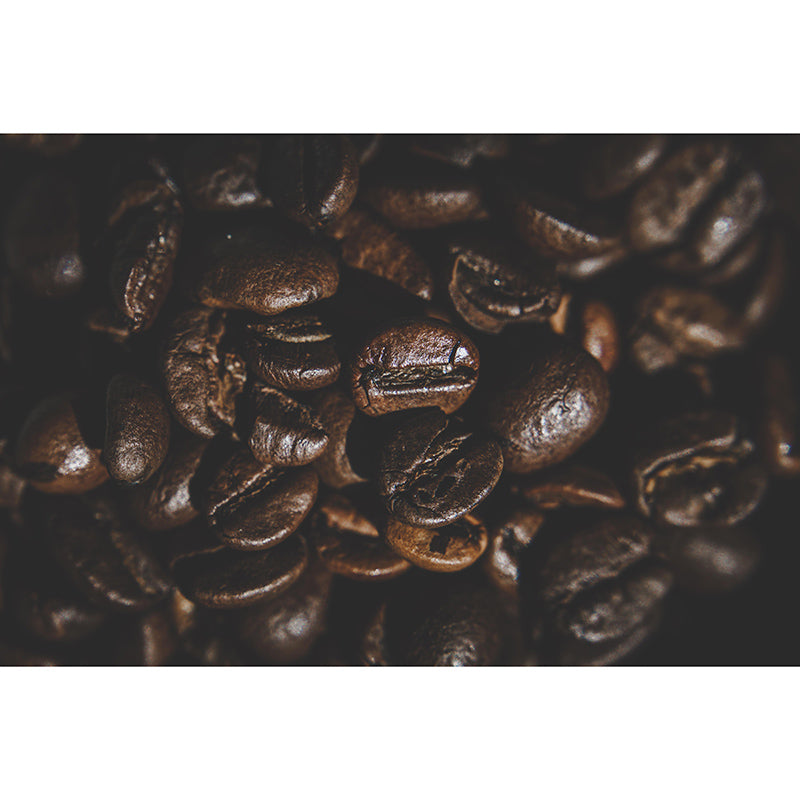 Full Size Coffee Beans Mural Decorative Environment Friendly for Coffee Shop