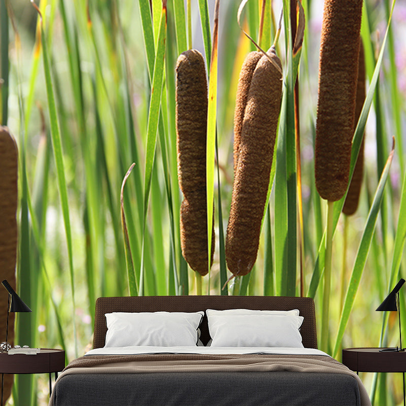 Cattails Plant Mural Water Resistant Home Decoration Wall Decor for Sleeping Room
