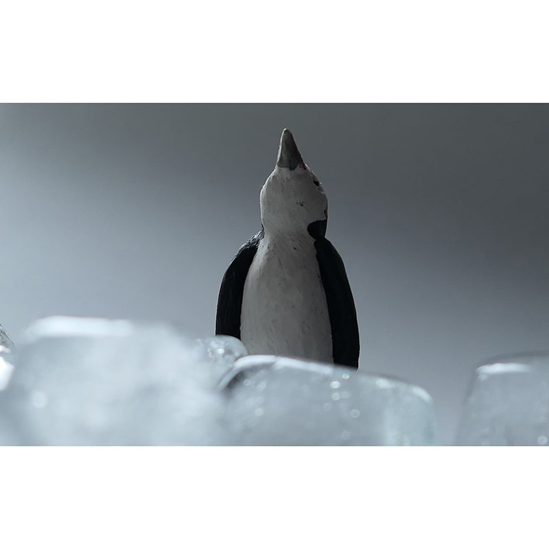 Antarctic Penguins Wall Murals Contemporary Environment Friendly Wall Art for Bedroom