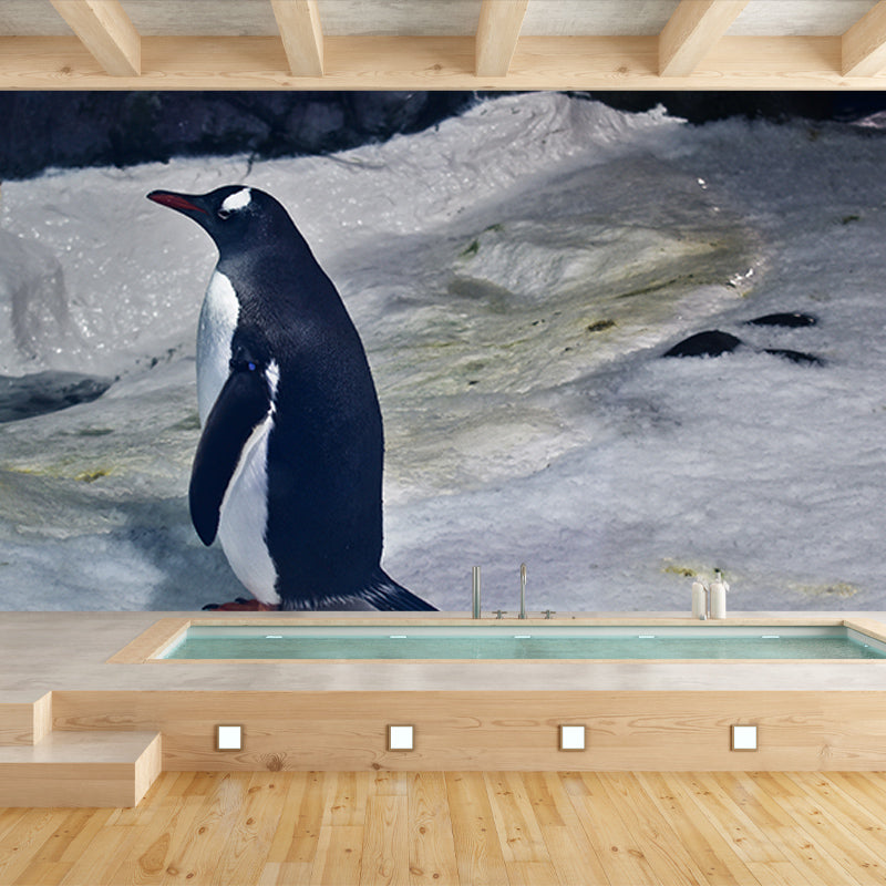 Antarctic Penguins Wall Murals Contemporary Environment Friendly Wall Art for Bedroom