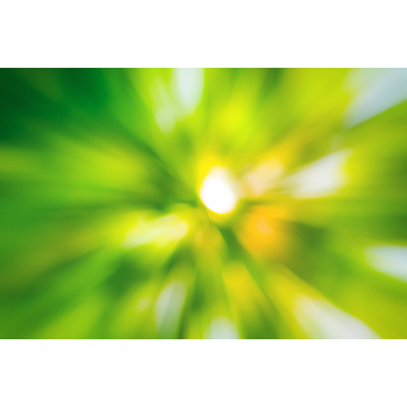 Abstract Wall Mural Wallpaper Contemporary Living Room Bedroom Decoration