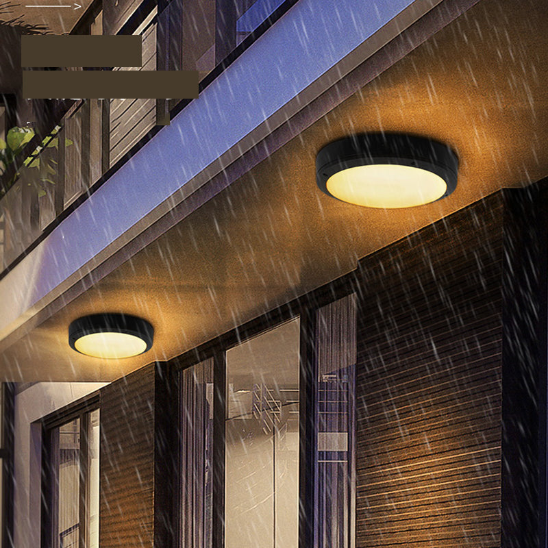 Traditional Flush Mount Light Fixture 1-Light LED Close To Ceiling Lamp with White Acrylic Shade