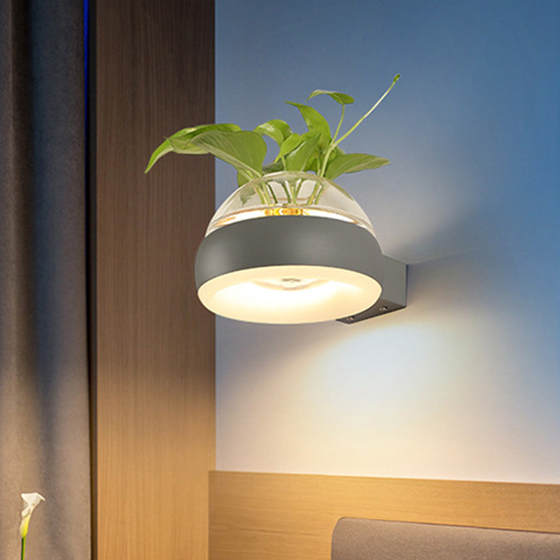 Iluminación de pared de cúpula de vidrio transparente 1 lámpara de apliques de pared LED de dormitorio de dormitorio en negro/gris/blanco con recipiente de plantas