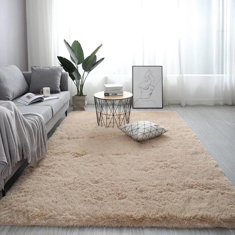 Novelty Plain Shag Carpet Polyester Indoor Rug Non-Slip Backing Area Carpet for Living Room