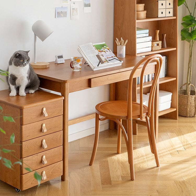 Le bois de hêtre de style moderne préside la cuisine arrière de Windsor dinant l'ensemble de chaise