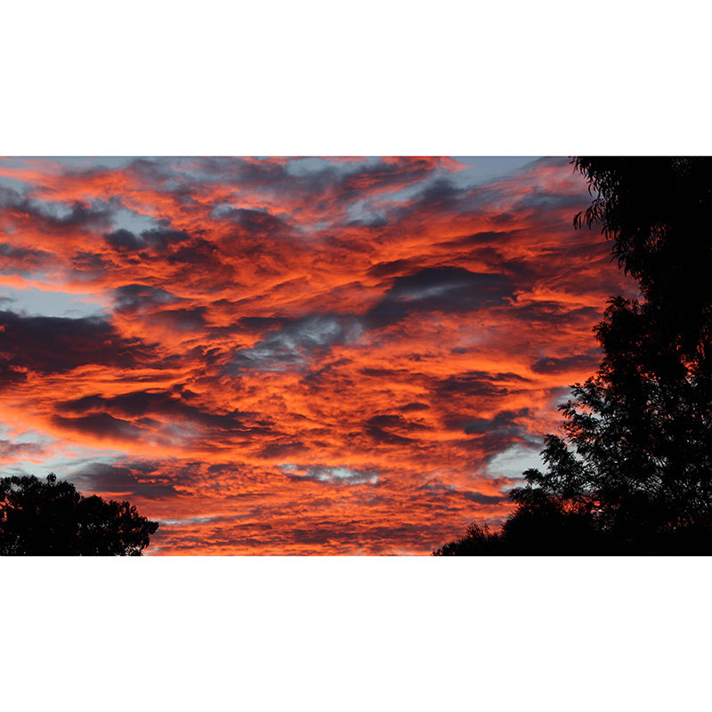 Customized Sky Landscapes Mural Photography Style Wall Covering for Home