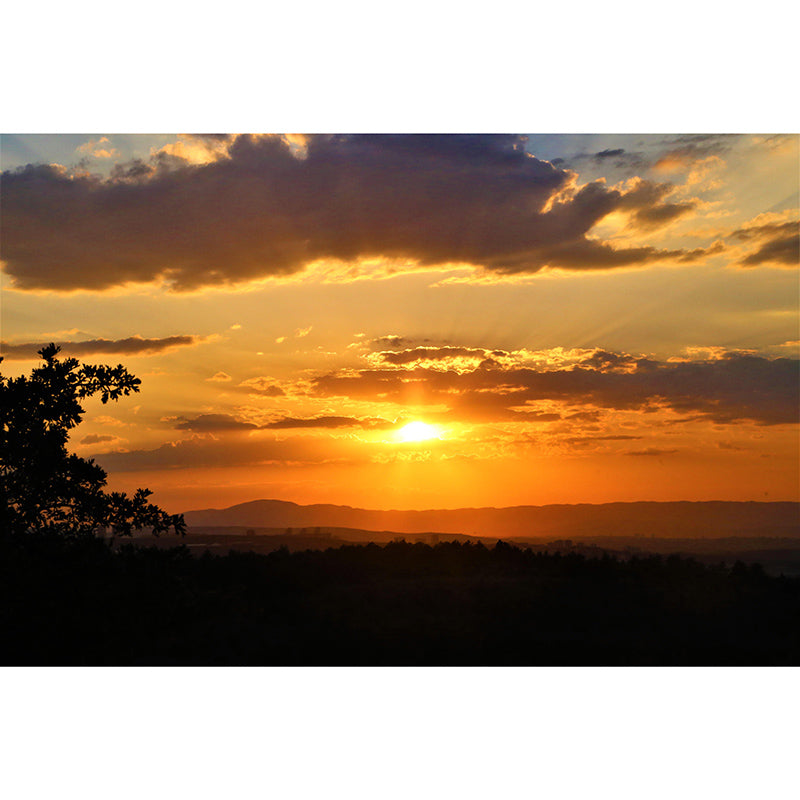 Cloud Landscape Mural Wallpaper Mildew Resistant Modern Living Room Decoration