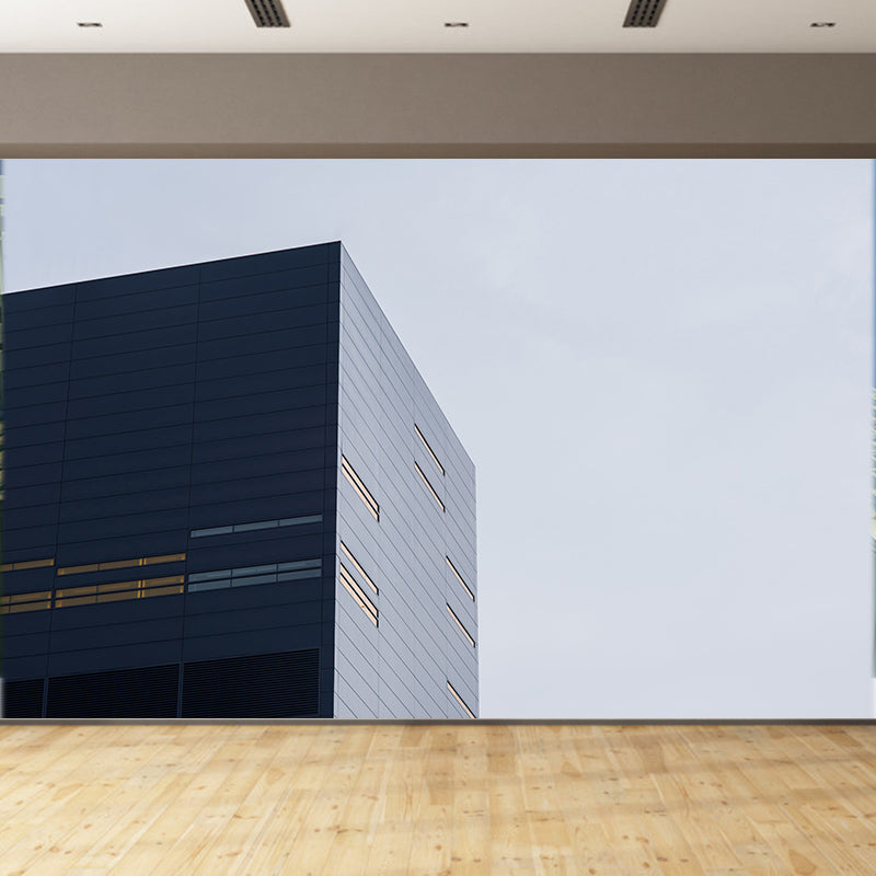 Building Wall Covering Murals Vinly Meeting Room Decoration, Water Resistant