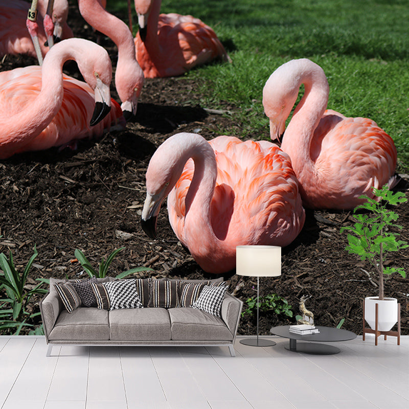 Orange Flamingo Murals for Dining Room Bedroom Decoration, Moisture Resistant