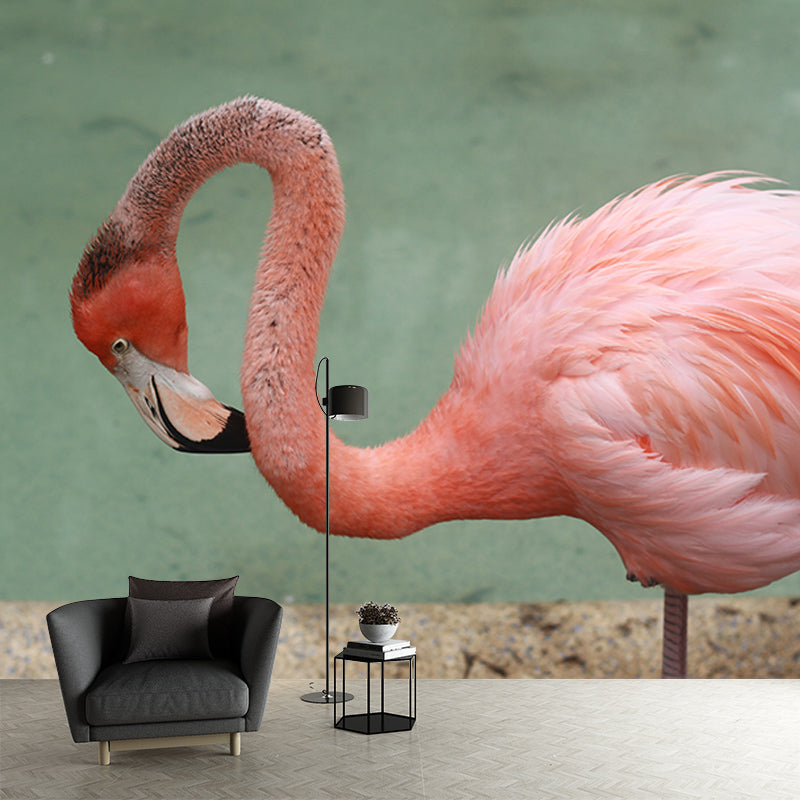 Tropical Flamingo Moisture Resistant Mural Decal Modern Wall Decor for Sleeping Room