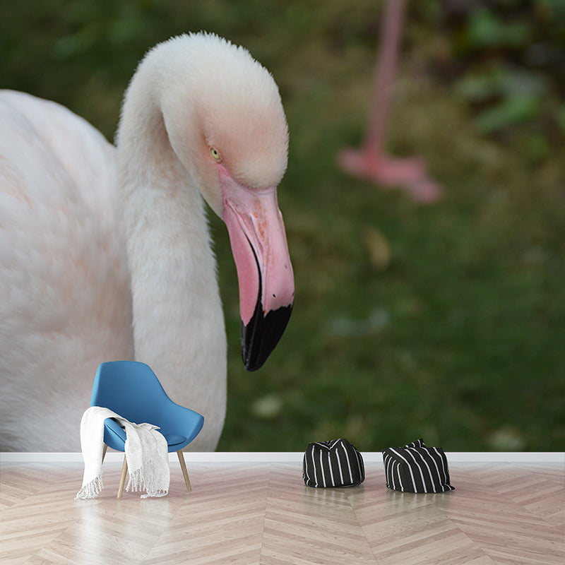 Tropical Flamingo Moisture Resistant Mural Decal Modern Wall Decor for Sleeping Room